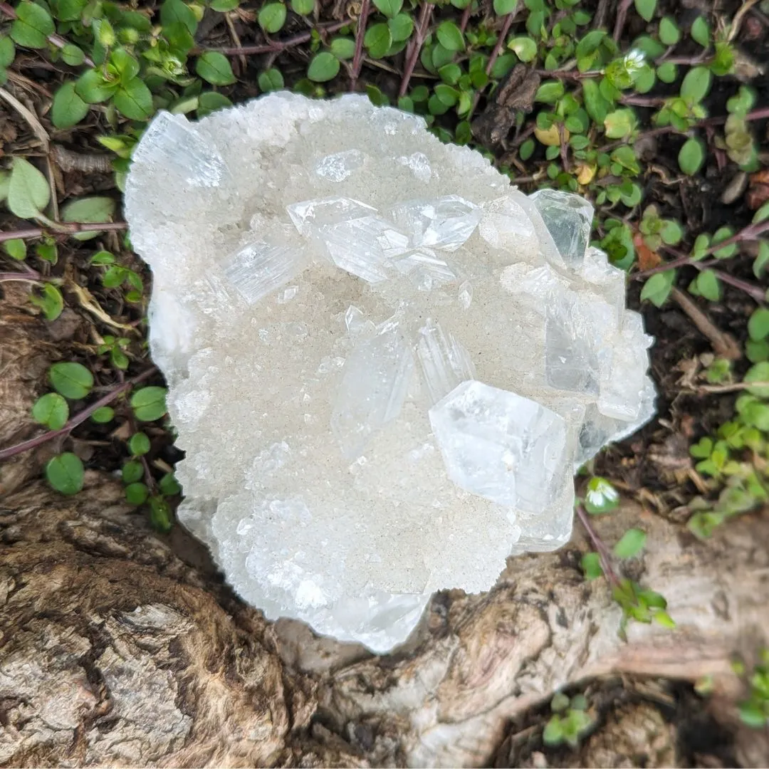 Amazing Apophyllite Cluster with Rainbows! A Tucson Gem Show Unique Find!