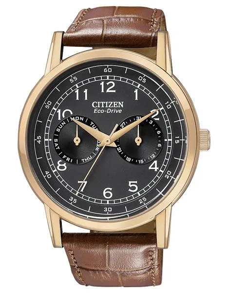 Citizen Eco-Drive Mens Day/Date Strap Watch - Black Dial and Rose Gold-Tone Case