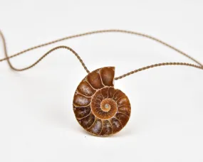 Pendant-0721-Ammonite Fossil