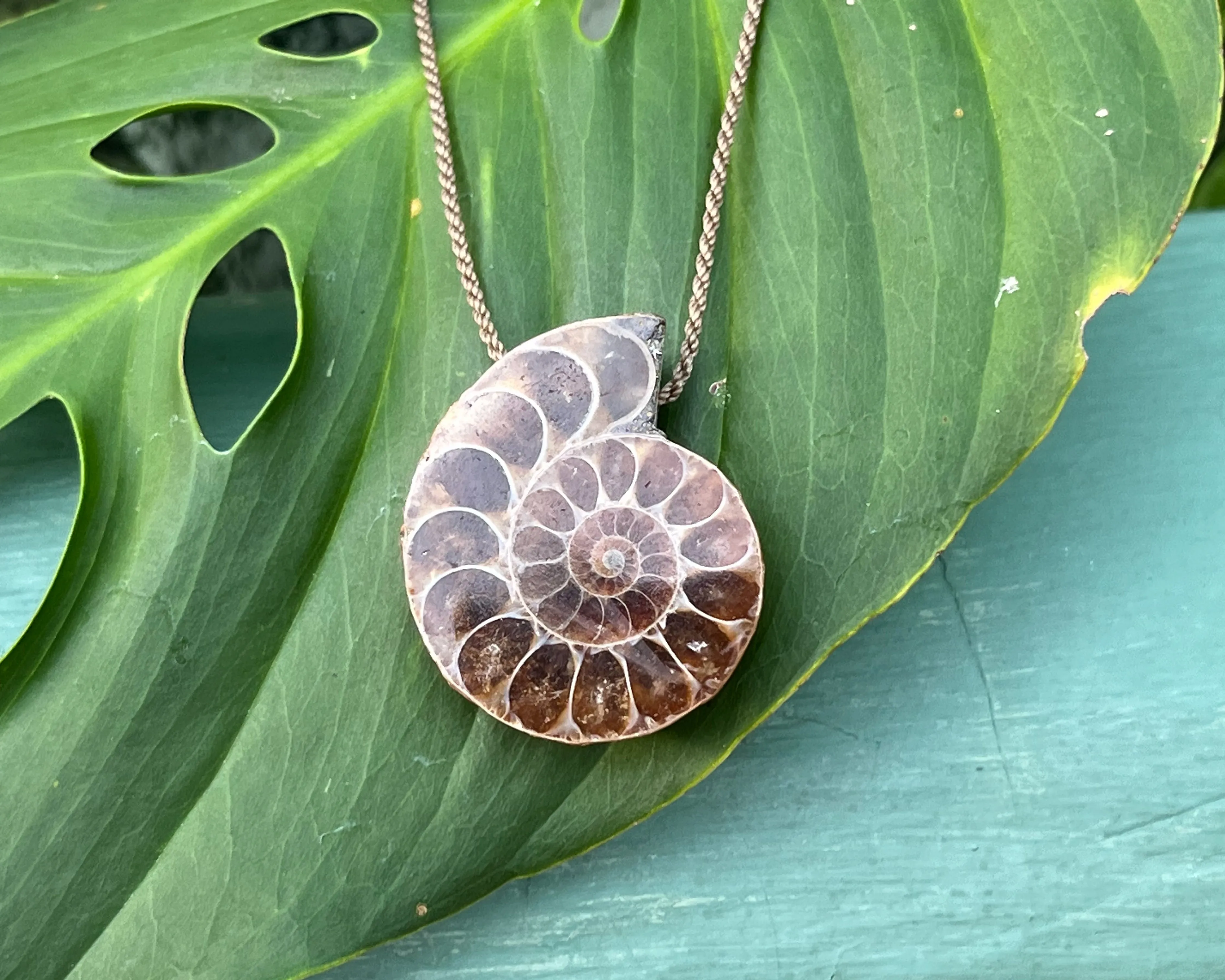 Pendant-0721-Ammonite Fossil